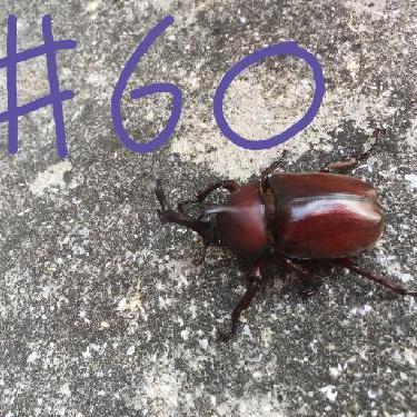 第60回！！寒さに打ち勝つ方法