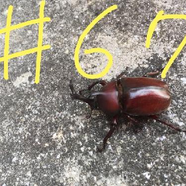 第67回！！学校に行けない人へPart１