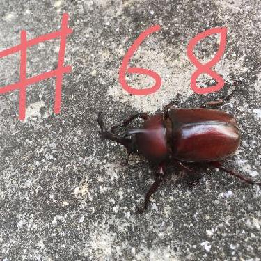 第68回！！学校に行けない人へPart2