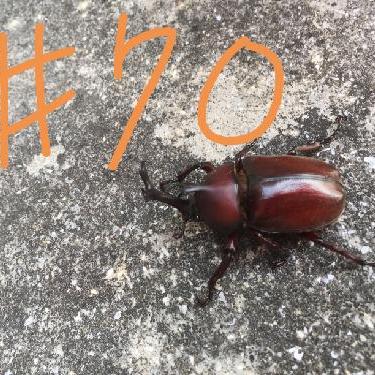 第70回！！ごめんなさいが口癖