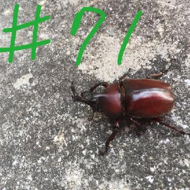 第71回！！雪と湯たんぽ