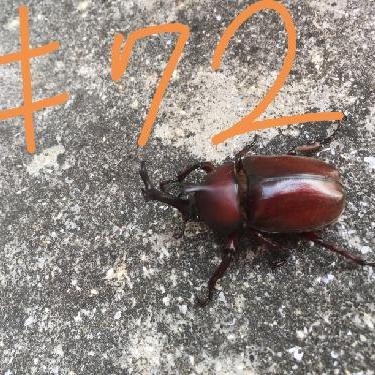 第72回！！おすすめ本！パンとコーヒー