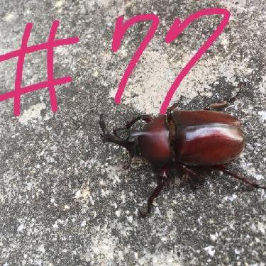 第77回！！皆様に報告したいことが！