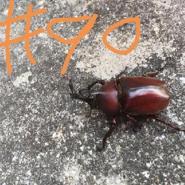 第90回！！バレンタインだよ！