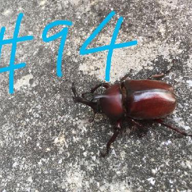 第94回！！美味しいパン屋「生瀬ヒュッテ」