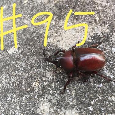 第95回！！卒業前夜