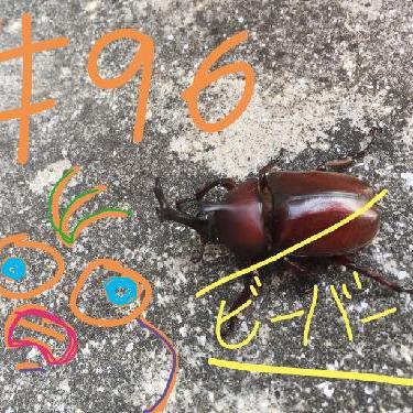 第96回！！ゲスト！美少女まこっちゃん！！&カイくん！！ビバ！卒業！！