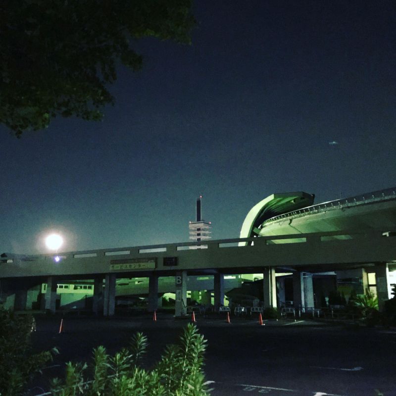 【緊急特別企画】私はいつまでどこまで歩き続けるのか その2