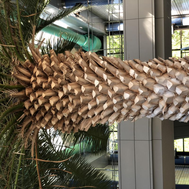 タチキューやで