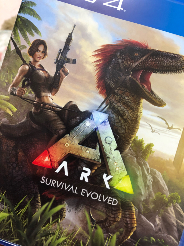 新しいゲームを買いました！