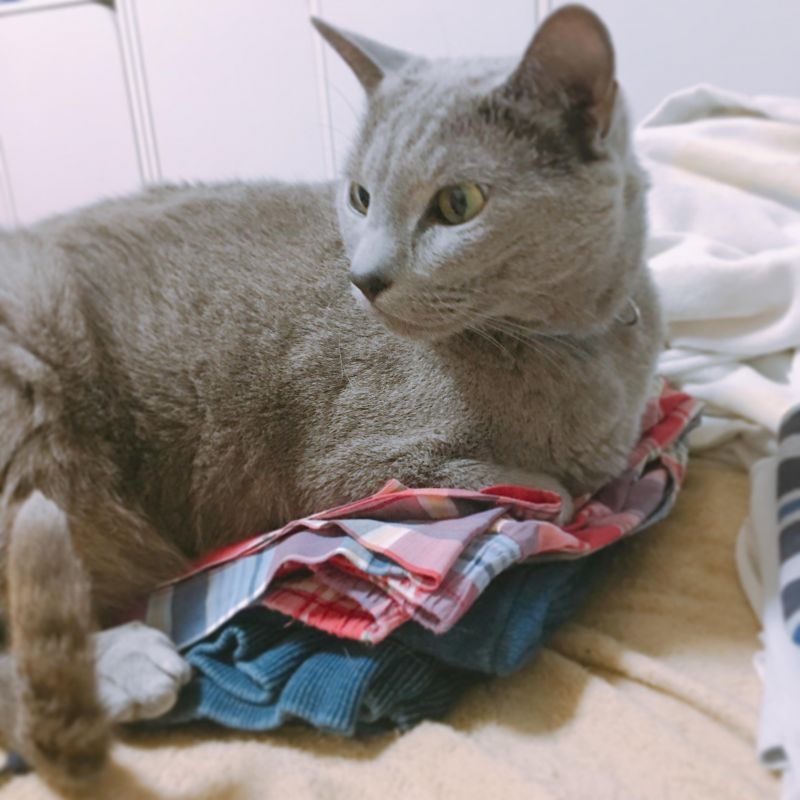 ふっちゃん的日常らじお。