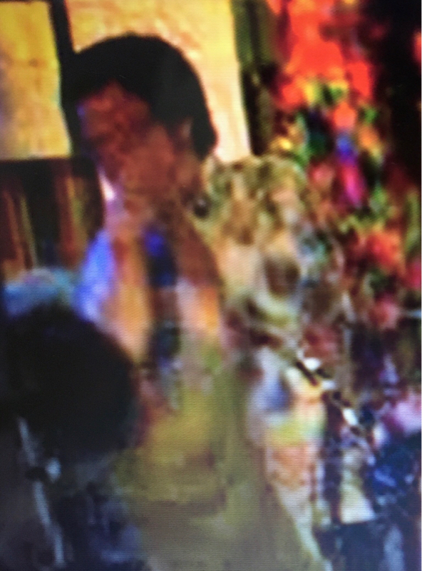 6.木田の弟への愛について（2）