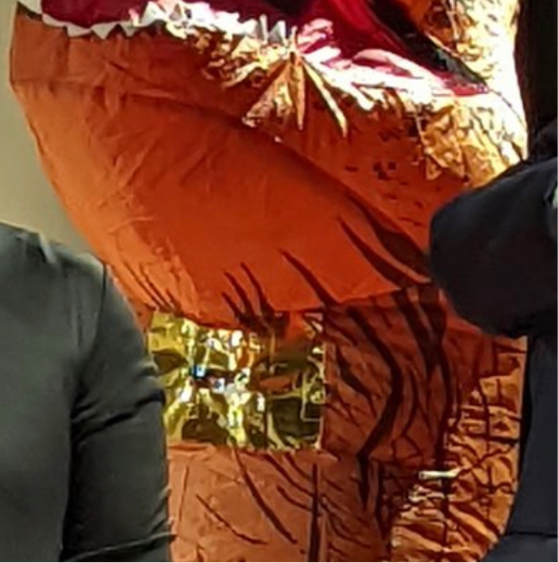 826.小学6年生にオススメのネタ