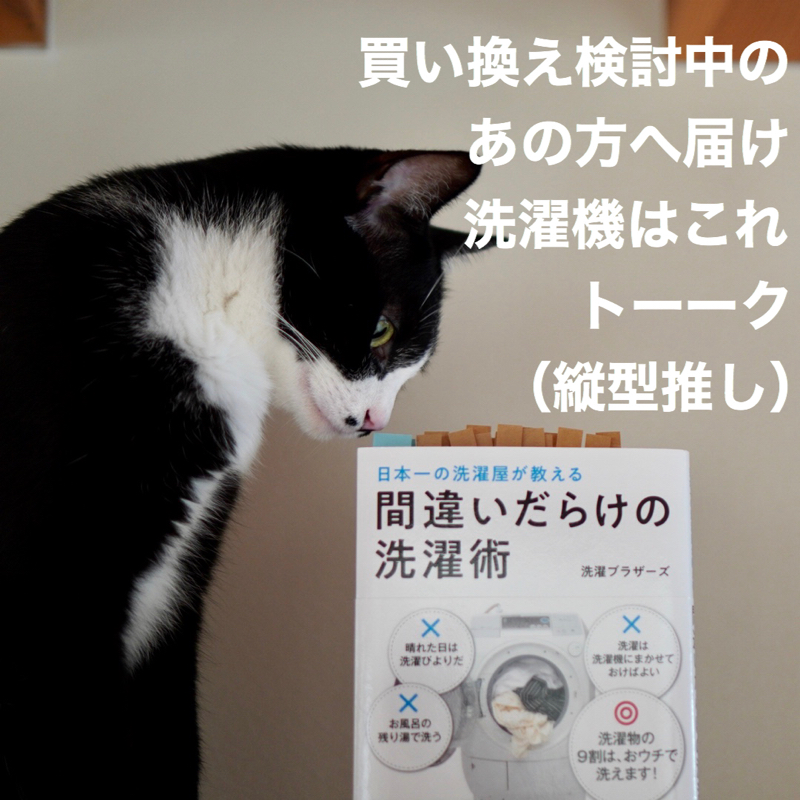 #268 たて型洗濯機+乾燥機+衣類乾燥除湿機が最高。