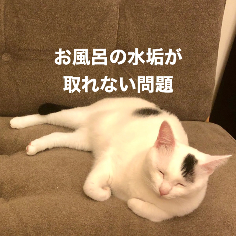 #269 お風呂の水垢はどうやって落とせばいいの？