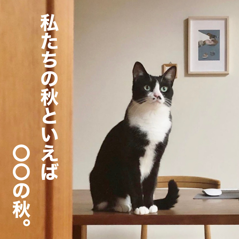 #270 私たちの秋は、〇〇の秋。