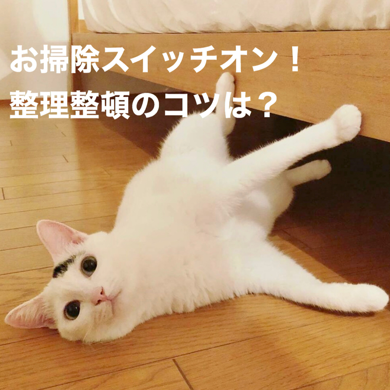 #271 お掃除スイッチONに。整理整頓のコツは？