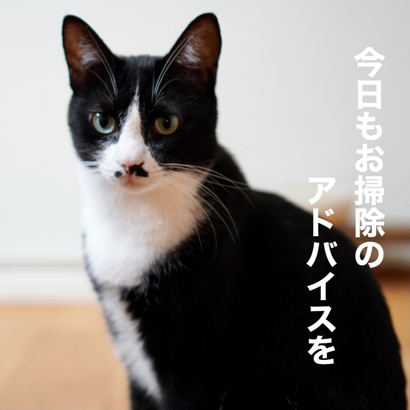 #274 お掃除はほどほどに。