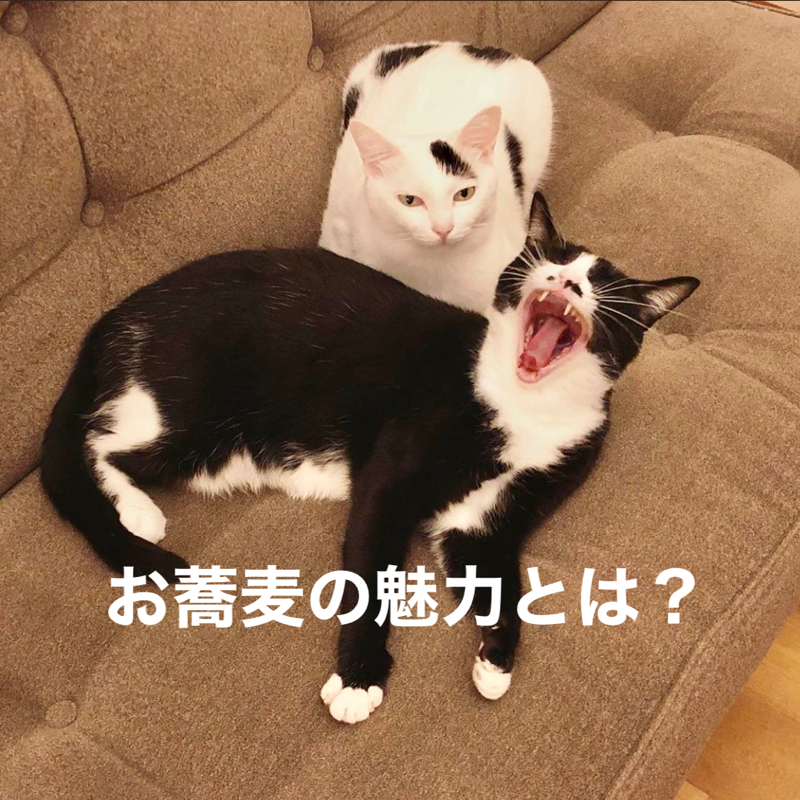 #291 お蕎麦の魅力ってなんですか？