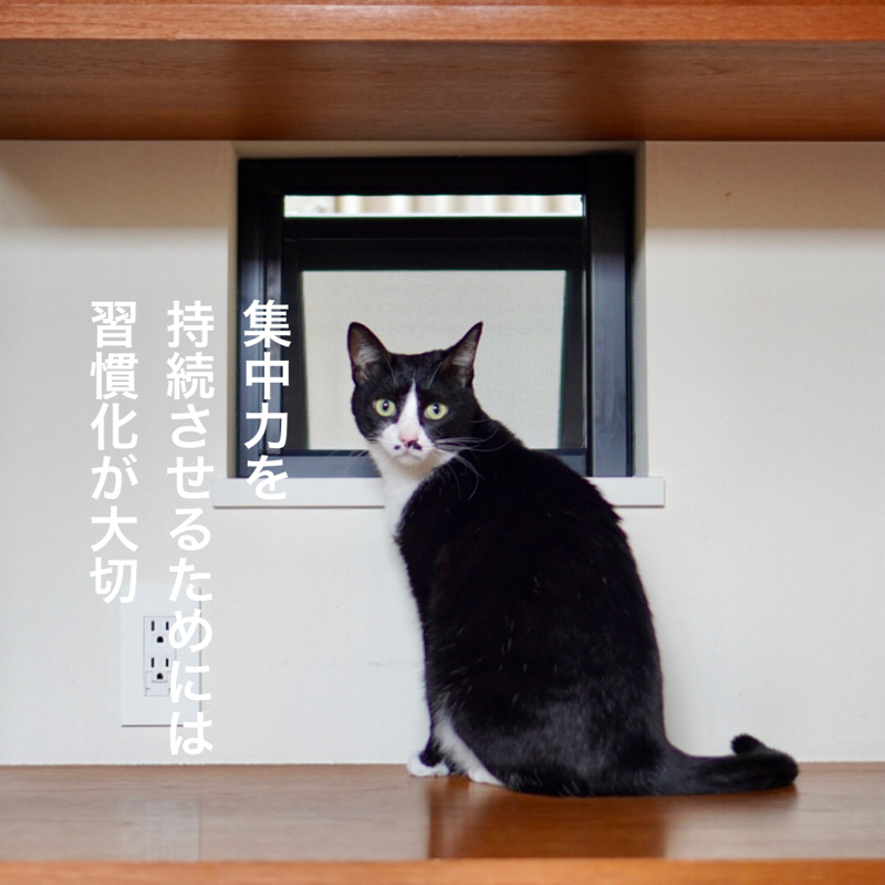 #371 日々の行動を習慣化することで、全集中を継続させること。