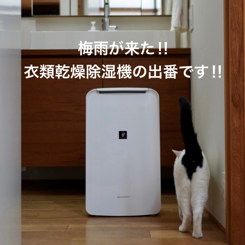 #511 梅雨です‼︎衣類乾燥除湿機の出番です‼︎