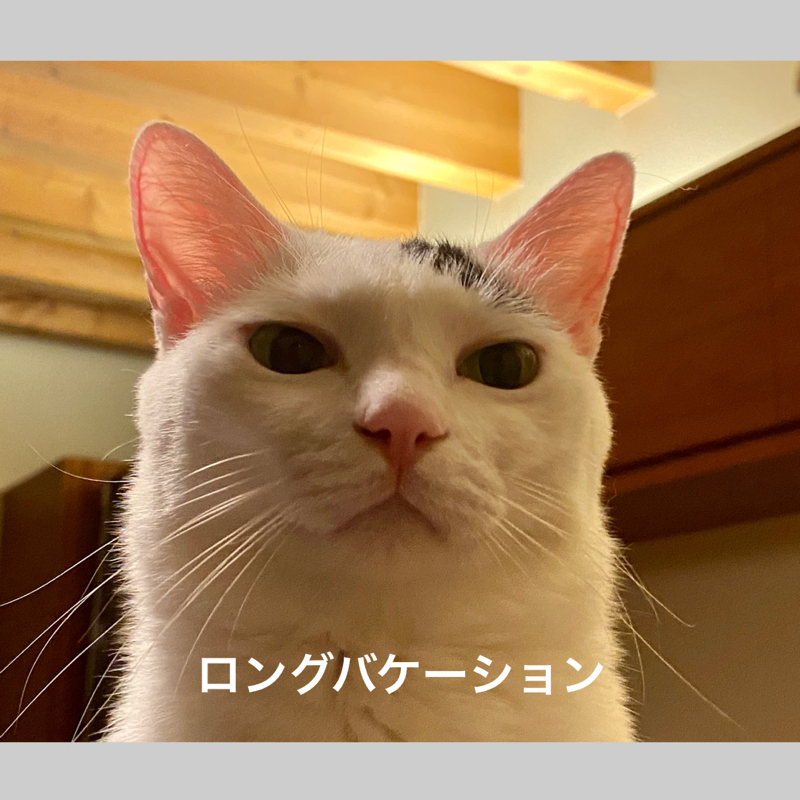 #581 無職1年半が伝授する、ロンバケ活用法。