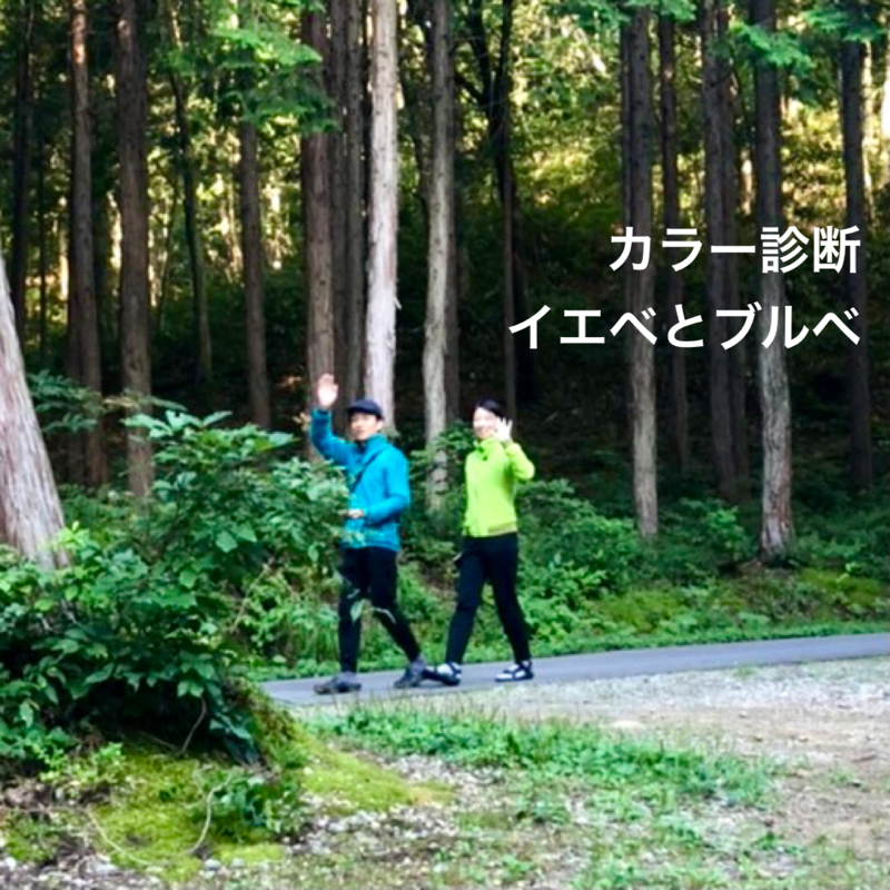 #620 カラー診断 イエベとブルベ