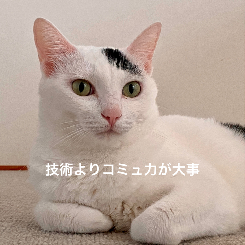 #648 美容師さんとの心地良い距離感。