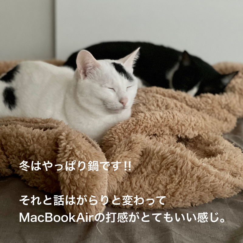 #692 冬はやっぱり鍋‼︎