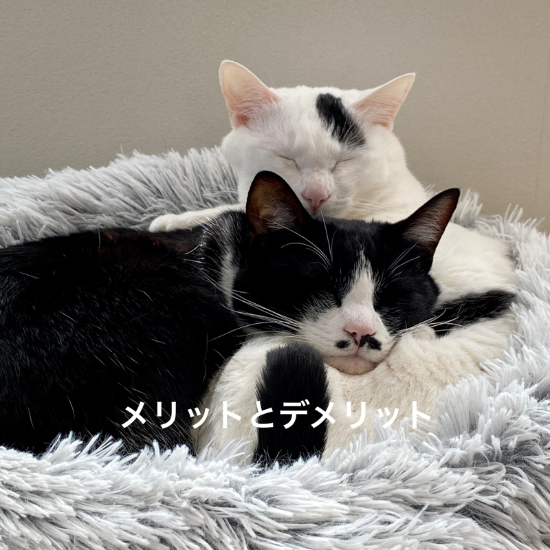 #803 メリットとデメリット、帯状疱疹が辛い…。