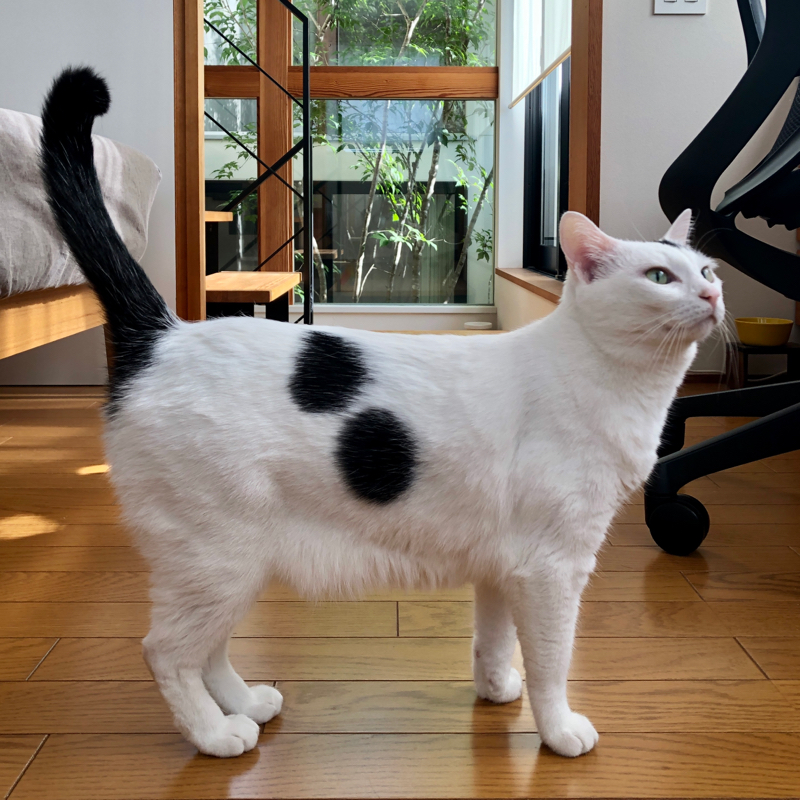 #895 イベントには企画者やスタッフがいるんです。