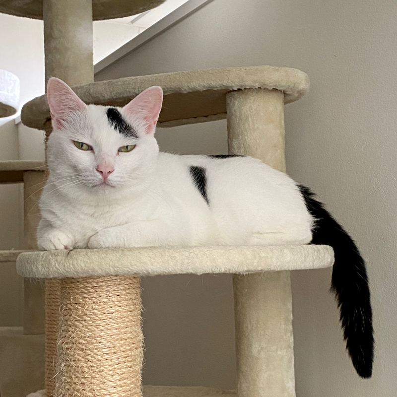 #935 コミュニティの委員長を2年間、お疲れ様でした〜