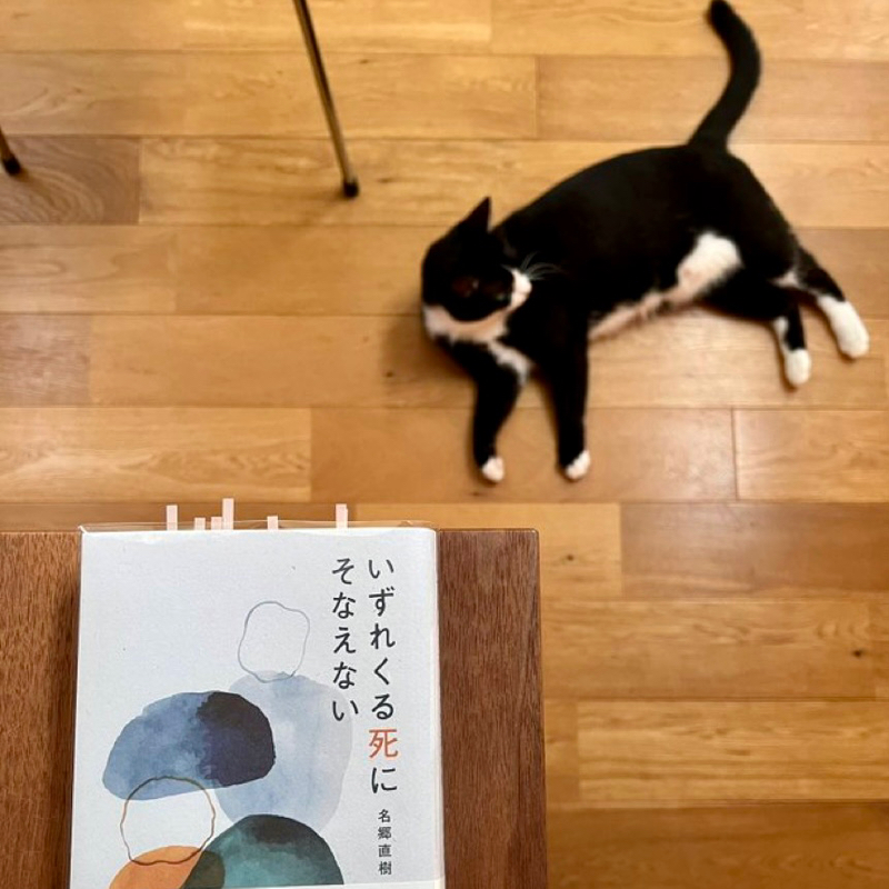 #994 いずれくる死にそなえない