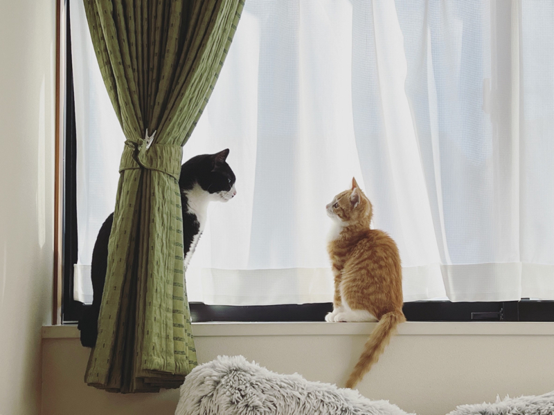 #1101 『思いがけず利他』ゆるゆる座談会vol.3