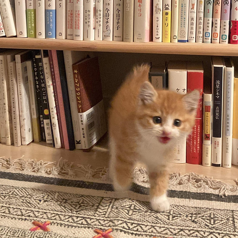 #1370 まちの本屋とは？②