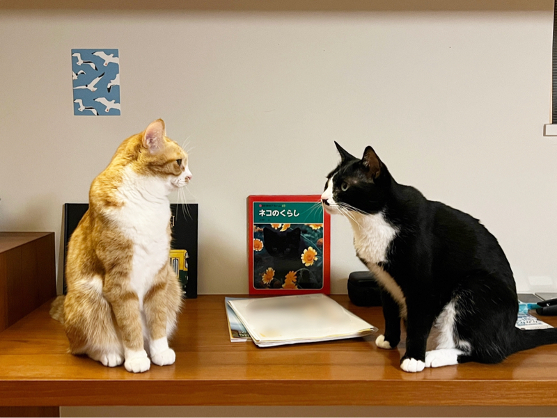 #1374 町の本屋とは？③最終回