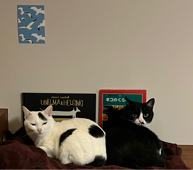 #1393 カクカク夫婦の今年の漢字