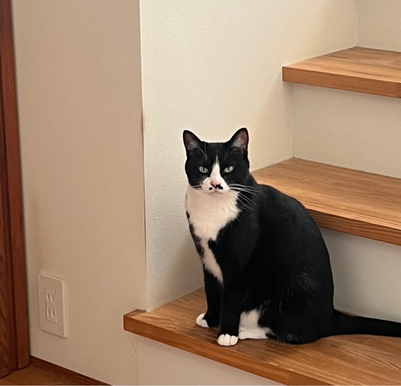 #1394 ベストバイ2025