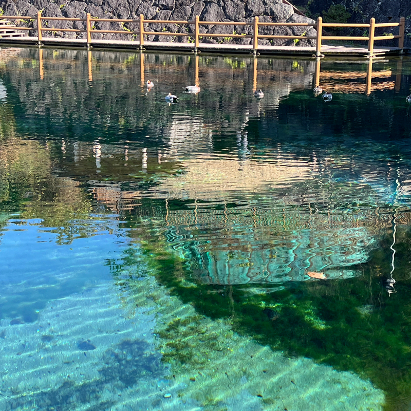 #1398 学芸員しか知らない美術館が楽しくなる話③