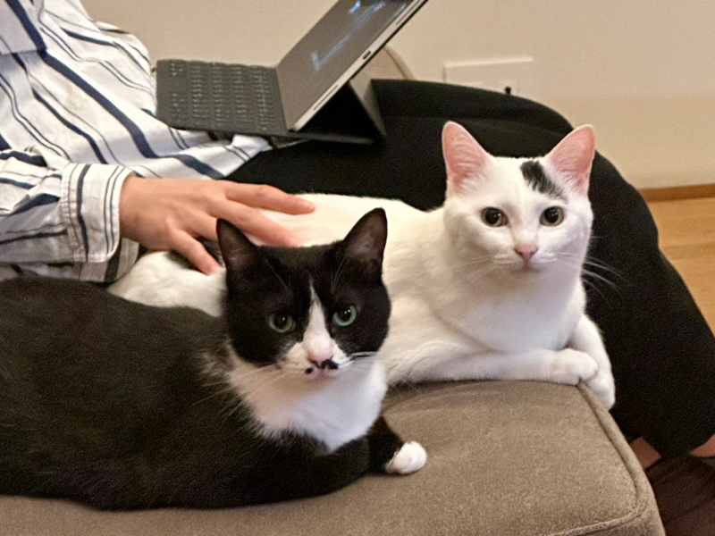 #1400 トムクルーズを語れない…