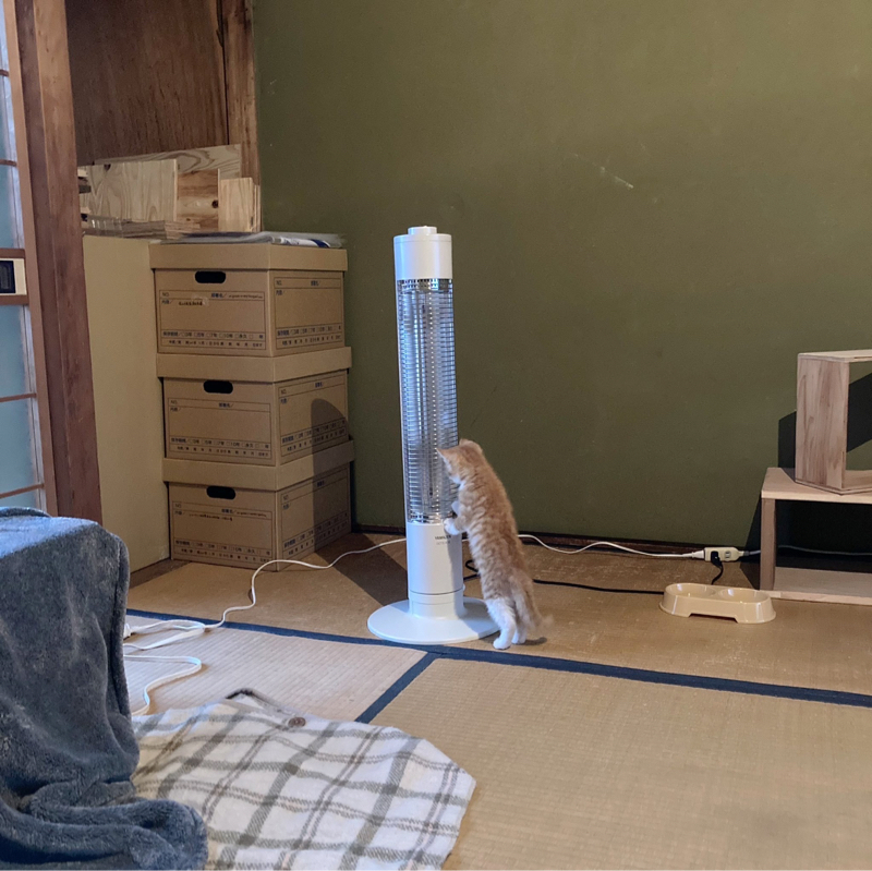 #1409 映画「福田村事件」