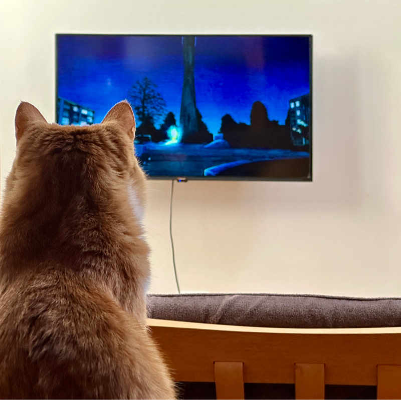 #1410 映画「FAKE」①