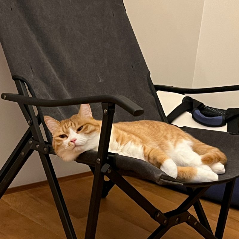 #1413 映画「赦し」