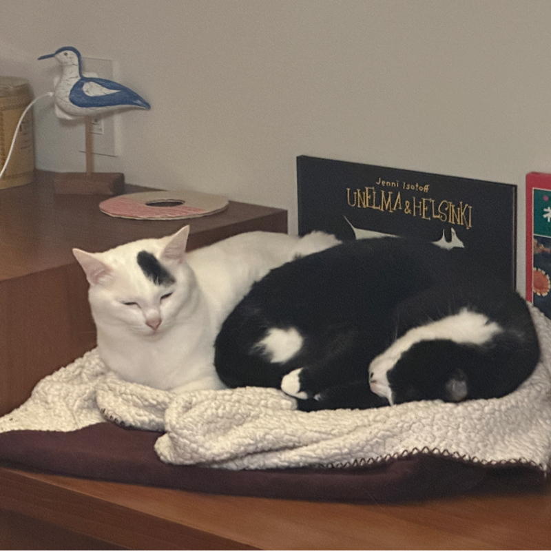 #1415 最近ネトフリで観た作品②