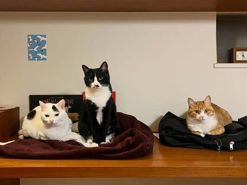 #1416 「成瀬は都を駆け抜ける」最高だった📚