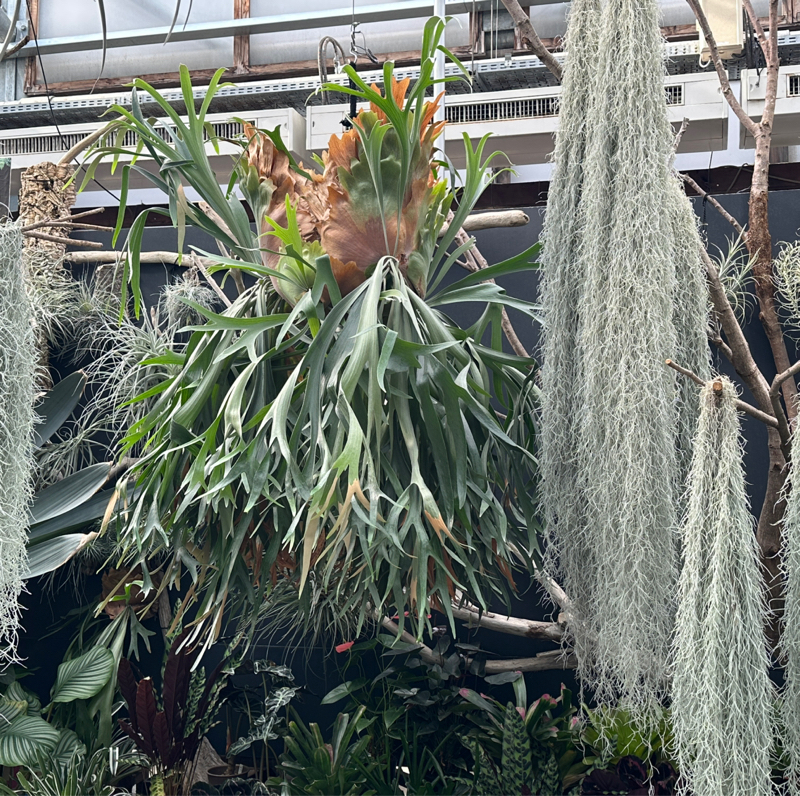 #1423 静岡旅行⑤高久書店・掛川花鳥園