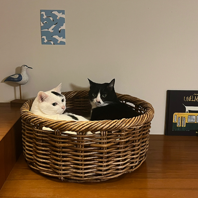 #1431 Lifestance EXPO