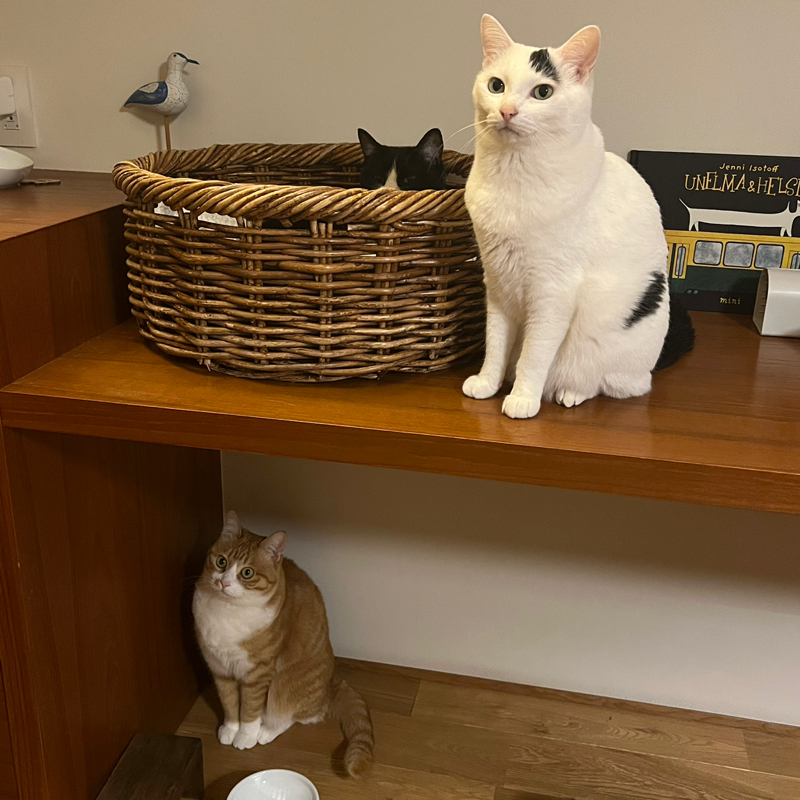 #1432 攻殻機動隊展①