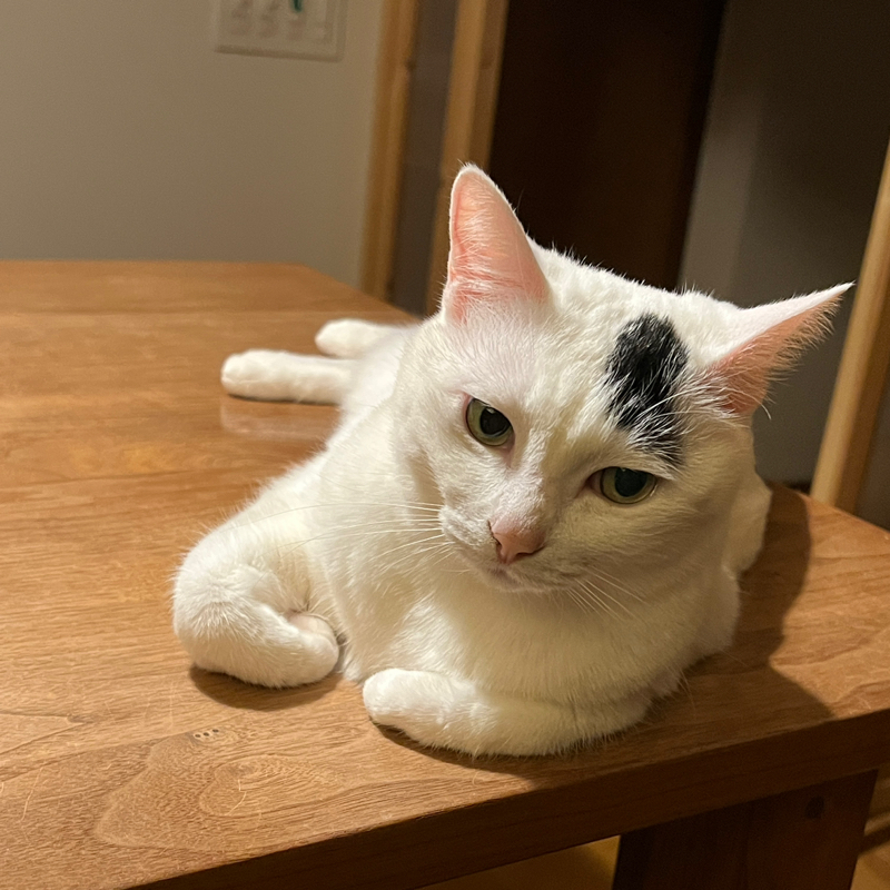 #1433 攻殻機動隊展②