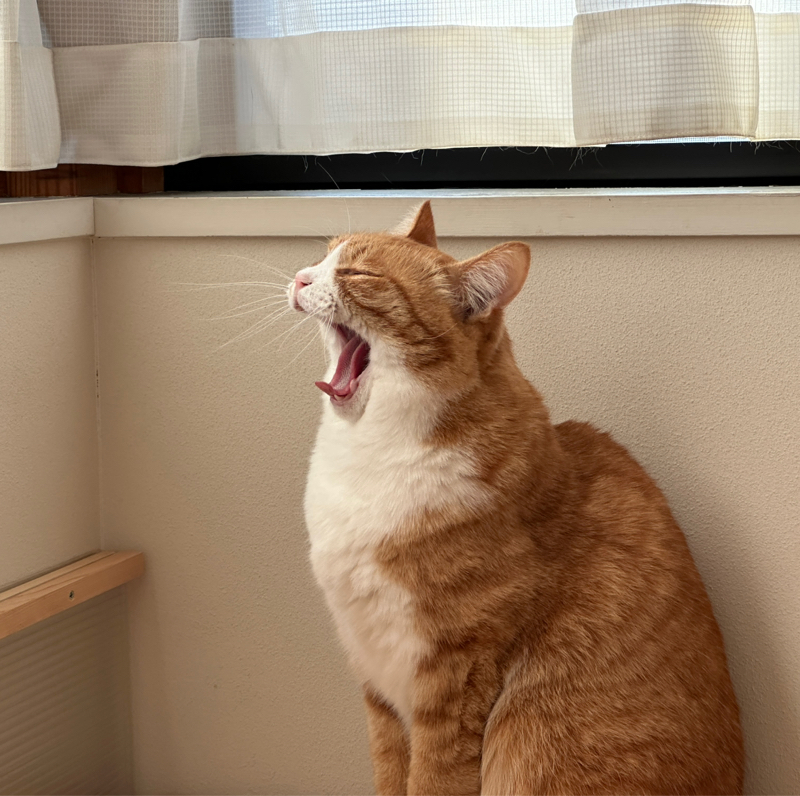 #1435 滅びの危機か、再生の夜明けか